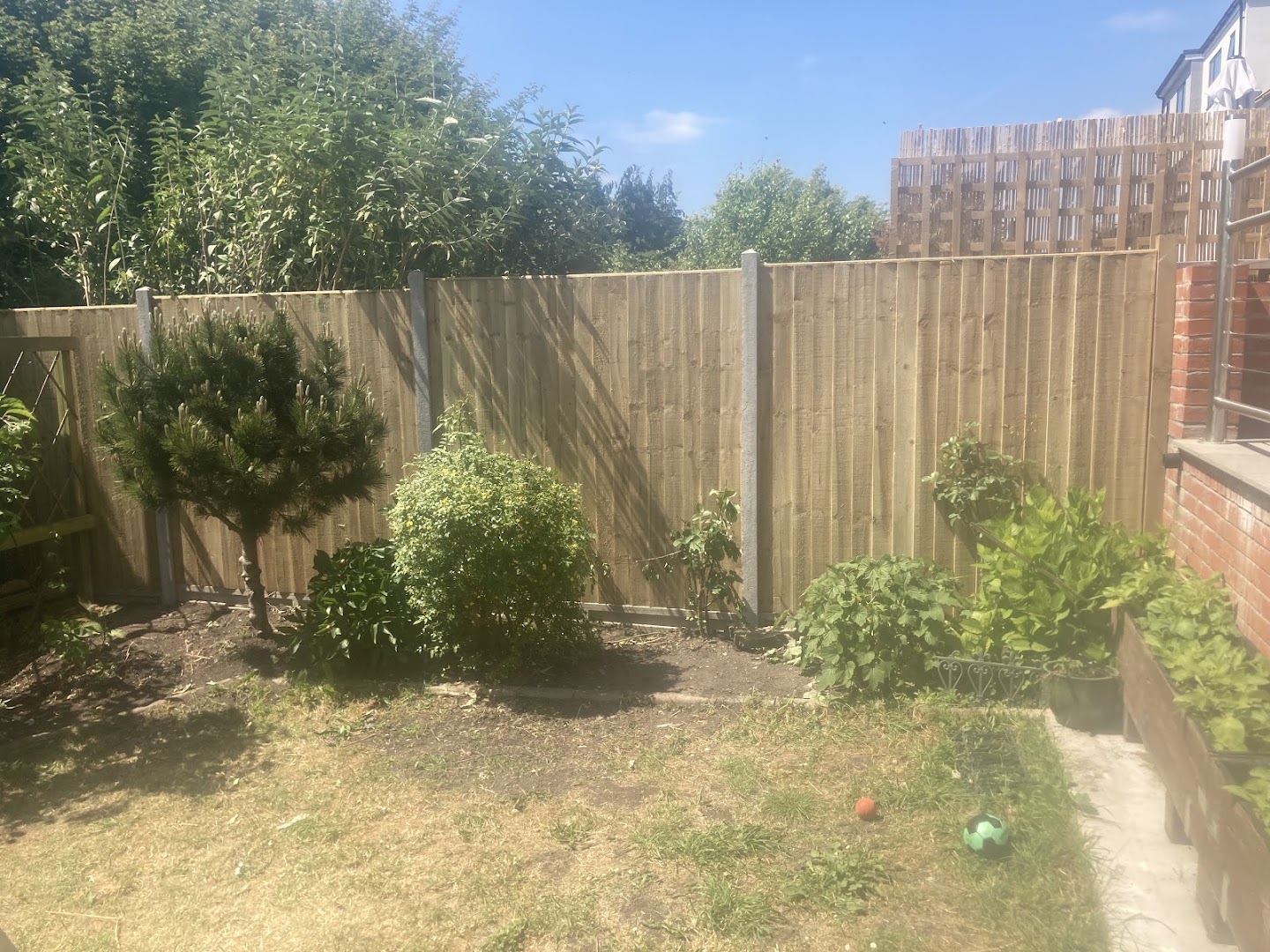 Simon the Handyman — Photos 3